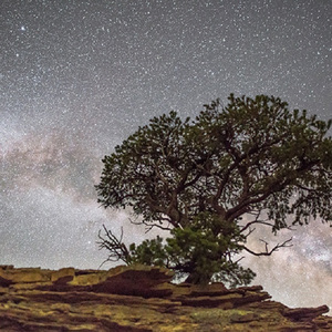 竹内沙里纳夸最经典十句话
